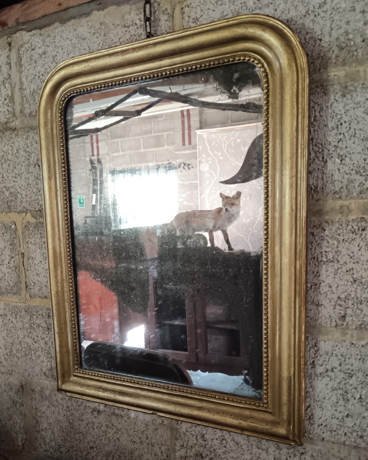 	C19th Arched Top French gilded mirror